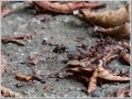 2011091503