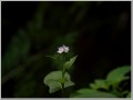 2011092312