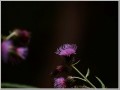 2011100202