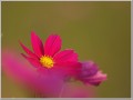 2011100913