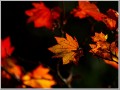 2011111711
