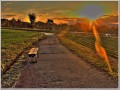 2011112001
