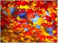2011112401