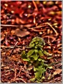 2012032211