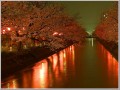 2012042401