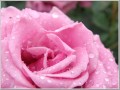 2012061911