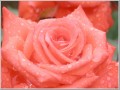 2012061912