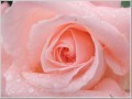 2012061913