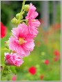 2012071211