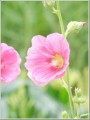 2012071212