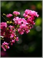 2012092702