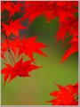 2012111801