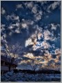 2012121301