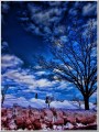 20130108