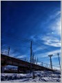 20130131 20130131
