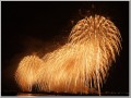 長岡花火 フェニックス9 長岡花火 フェニックス9