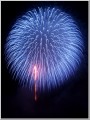 長岡花火2013