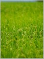 20130824撮影
