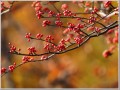 20131123撮影 20131123撮影