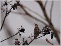 2013120412