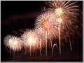 2014年 フェニックス10