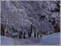 20150112雪景 20150112雪景